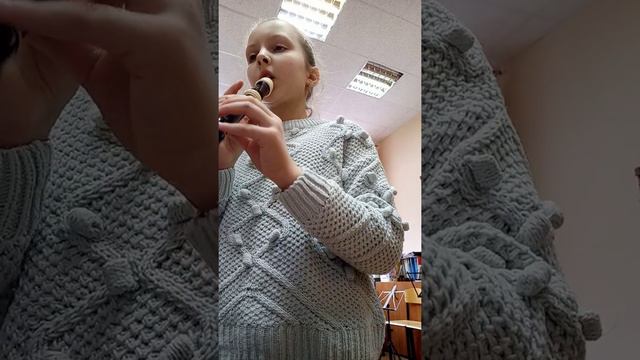 Т. Альбинони Концерт для блокфлейты с оркестром a-moll смотреть онлайн