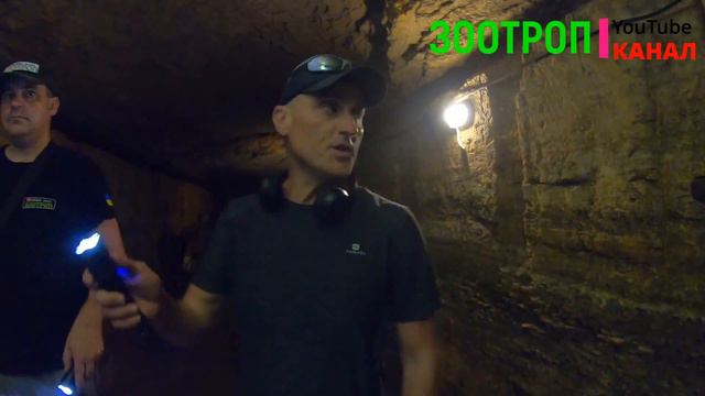 Аркадия пляж. Одесса сегодня. Экскурсия Влада Масленко. Чкаловский. Маразли. Катакомбы. #зоотроп смотреть онлайн