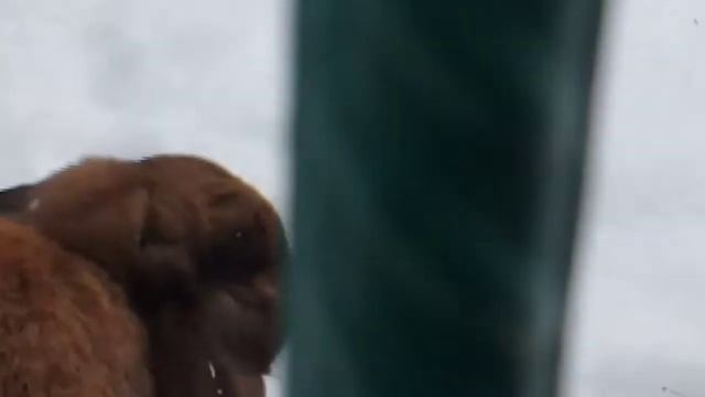 скажите мне пожалуйста какие мне нужно сделать видео смотреть онлайн