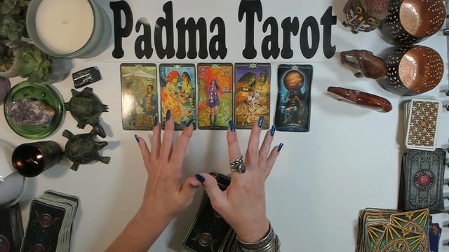 CANCER SUPRISING REVELATION RISK AND NEW PATH November 6th-12th Career&Finances Weekly Tarot Readin смотреть онлайн
