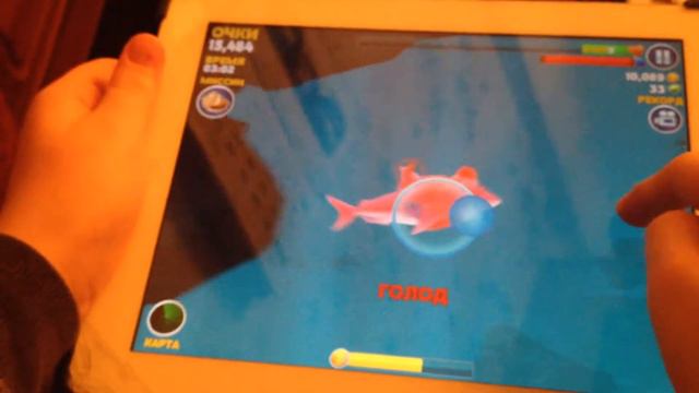 Игра Hungry Shark смотреть онлайн