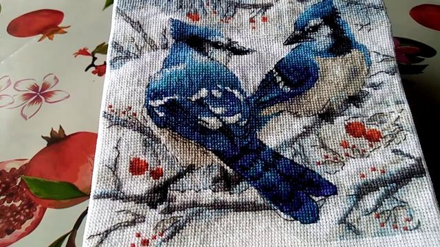 Финиш?Риолис Голубые сойки - обзор готовой работы смотреть онлайн