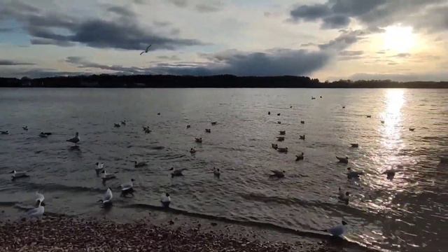 Марина Нова,Дом #ФлоридаЯлта .Штурм)Нам чужого не надо, но и свое мы не отдадим, чье бы оно ни было смотреть онлайн