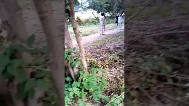 Эта сумасшедшая удивела тем что она не поет а вышла на улицу !!! смотреть онлайн