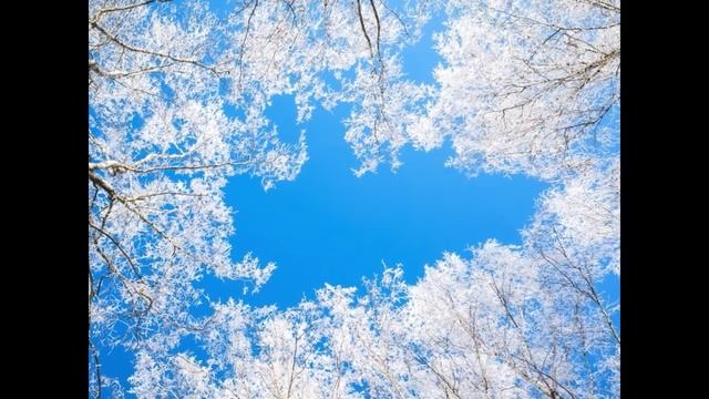 Видео ряд на песню "Happy New Year". смотреть онлайн