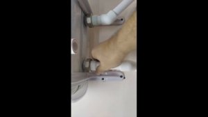 Как избавить систему отопления от воздуха на 100%