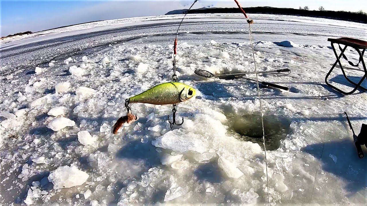 СТРАННЫЕ ПОКЛЁВКИ. ЗИМНЯЯ РЫБАЛКА НА ЩУКУ НА АМУРЕ смотреть онлайн