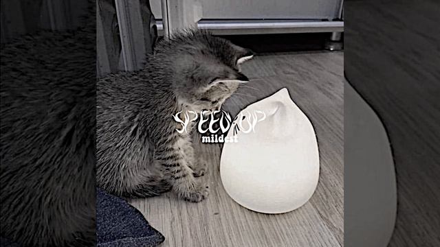 Время и Стекло-Песня 404(speed up)🕶🤏🏻 смотреть онлайн