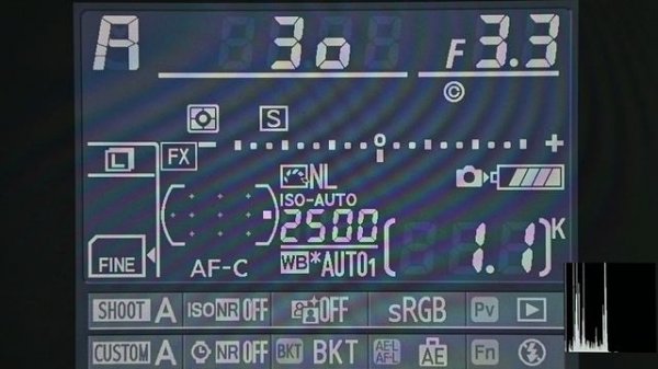 Настройка камеры Nikon на примере NIkon d800 (d800e)