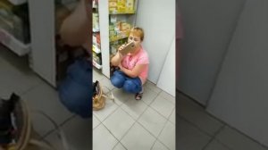 В магазине начала срать
