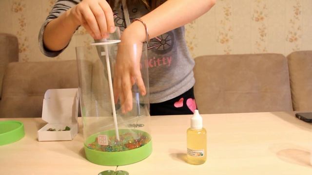 Бабочкарий от Fly Fly часть 1