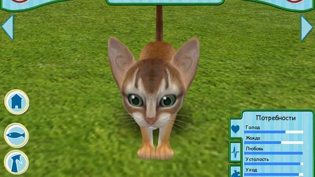 Андрей заводит кота|Catz 2006 (Одним Глазком) смотреть онлайн