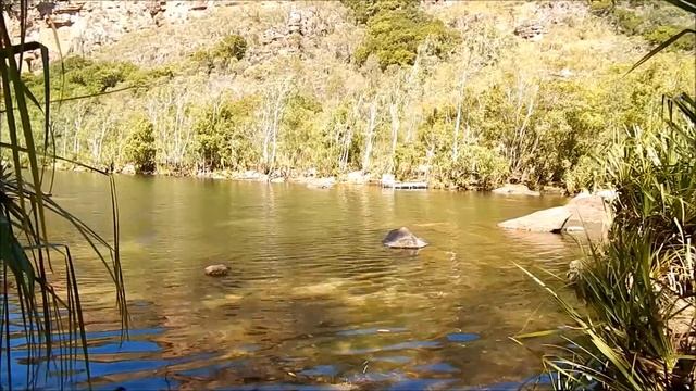Поездка в Национальный Парк КАКАДУ смотреть онлайн