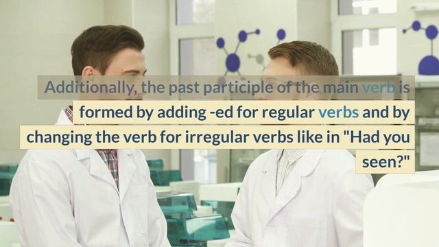 Mastering the Question in Past Perfect Tense: A Beginner's Guide to English Grammar смотреть онлайн