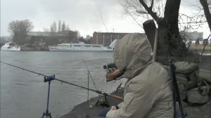 Как насаживать опарыша? Рыбалка на фидер. Плотва.