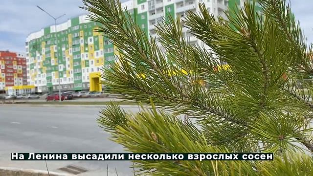 Ипотечку озеленяют 18.05.2021 смотреть онлайн