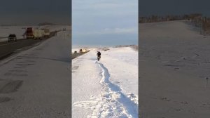 Иж Планета 5 переделка в сноубайк.