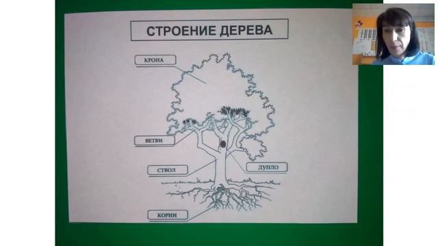 Урок №7 Чтение на уровне склада Чтение на уровне слова