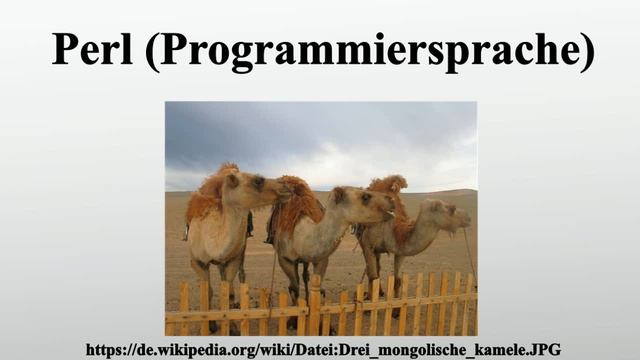 Perl (Programmiersprache) смотреть онлайн