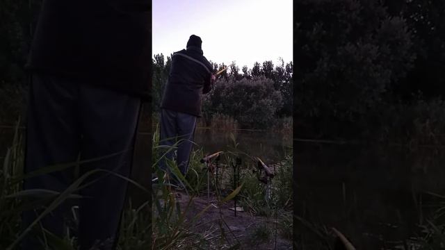 Udarac sarana смотреть онлайн