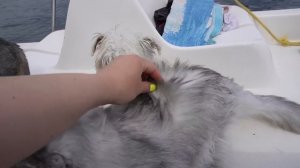 24 ЧАСА В ЗАКОЛДОВАННОМ ОЗЕРЕ С КЕВОЙ И БИЛЛИ НА КАТАМАРАНЕ