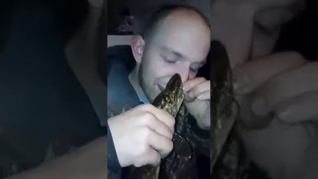 Щука укусила за нос смотреть онлайн