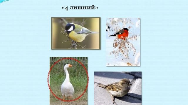 Словесные игры: развитие речи и мышления смотреть онлайн