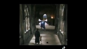 подборка Гарри Поттер и Т/и из тик тока