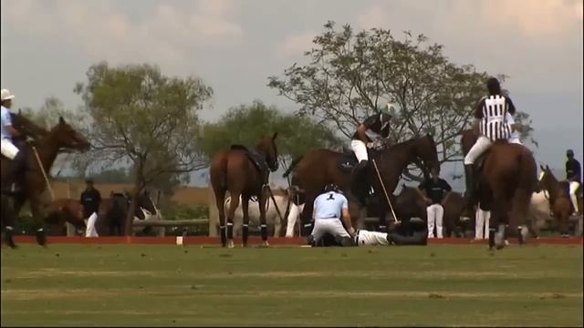 Prince Harry saves injured polo player in dramatic rescue смотреть онлайн