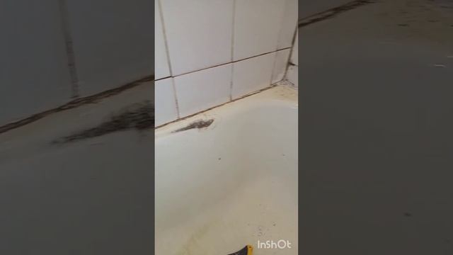 Реставрация Ванн Волгоград 34 смотреть онлайн