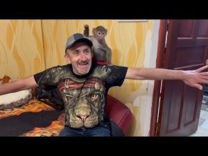 Влад закрывает Люсю собой и везет ее погулять к Сонечке))₽