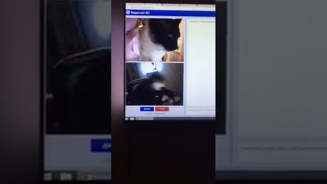 Валера, Денчик и Алоэ смотреть онлайн