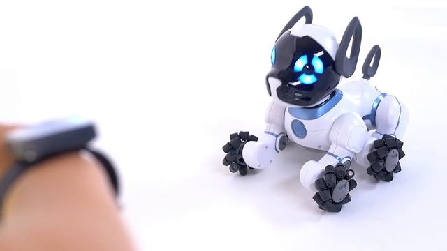 Tutorial: Getting Started with your CHiP Robot Dog! смотреть онлайн