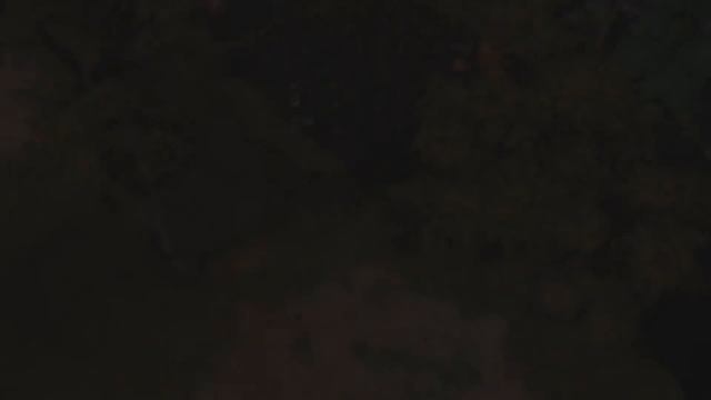 Обзор Albion Online смотреть онлайн