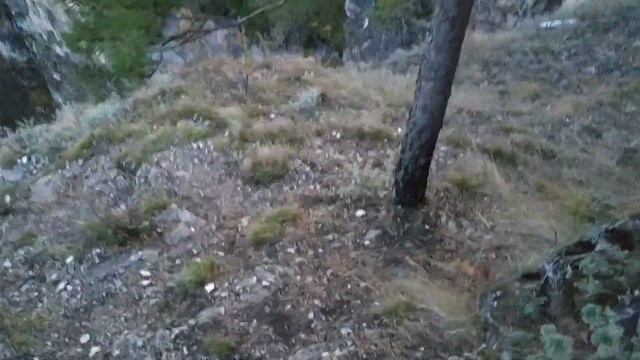 Притесы на реке Ай. Айские притесы. Почти как Усьвинские столбы. смотреть онлайн