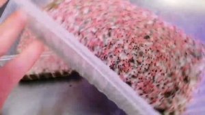 Микрозелень амаранта «Красный король» и «Красный вулкан» все секреты как выращивать #микрозелень