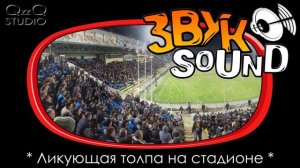 ЗВУК со стадиона, Болельщики на стадионе, спортивные болельщики / Sound stadium, sports fans