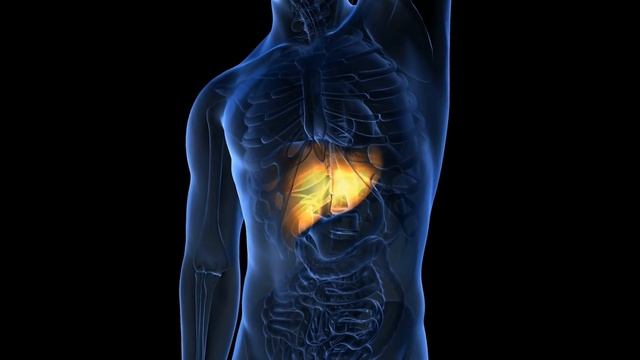 1 CUP BEFORE BED...SLEEP DEEPLY & BURN BELLY FAT - Dr Alan Mandell, DC