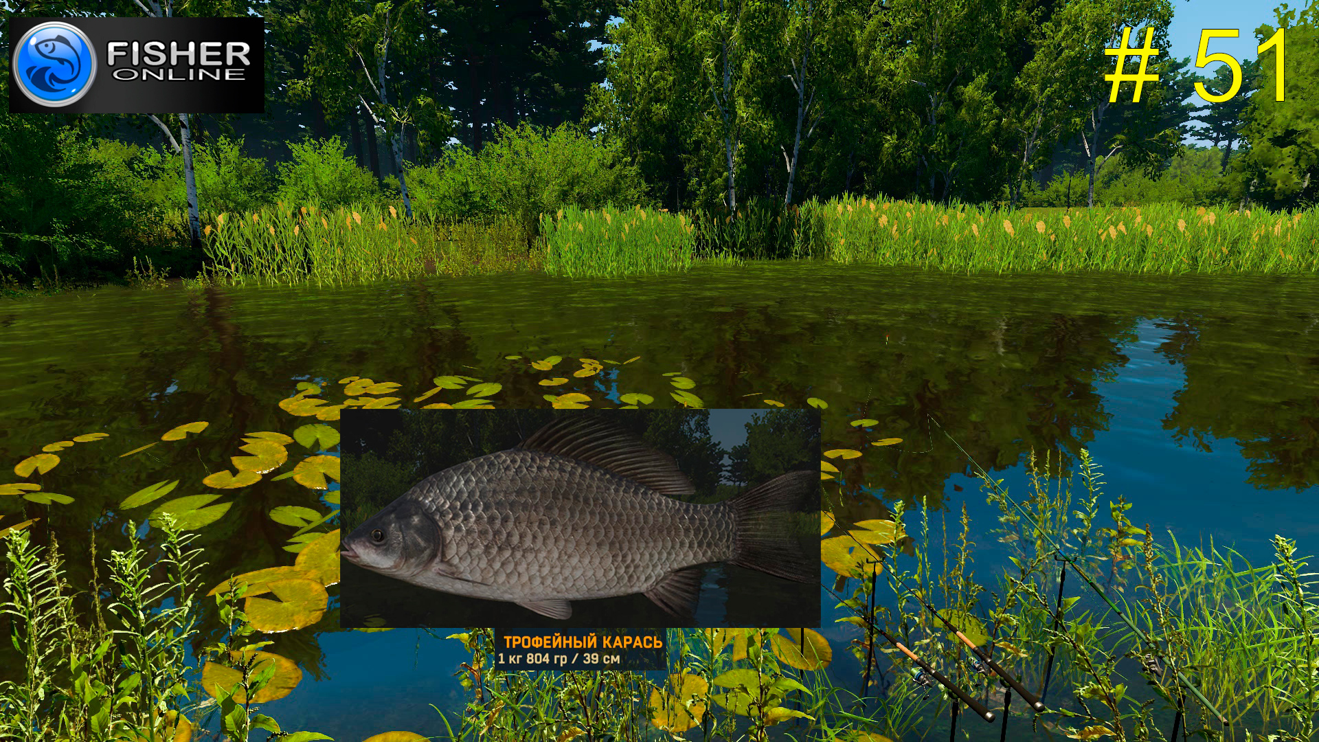 Фишер река Пра. ч.2  Осваиваемся на водоеме. Первые трофеи. # 51 Fisher Online