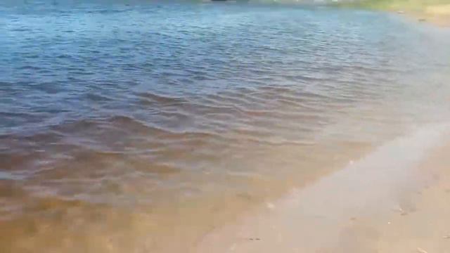 река Луза в районе городского пляжа. Июль 2021 смотреть онлайн