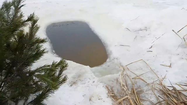 Днепр, прорубь 28.01.2018 смотреть онлайн