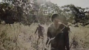 Полынь.Дорога мертвецов