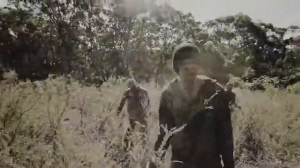 Полынь.Дорога мертвецов