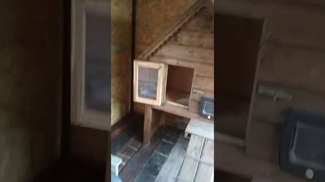 строю вольер для кошек смотреть онлайн