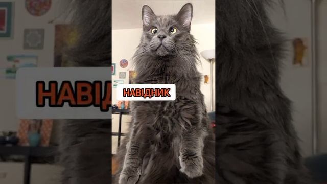 СУ-152 Екіпаж. Прикол? World Of Tanks Blitz WOT Minecraft Pubg бліц Ворлд Танкс бліц ржач вбр фугас