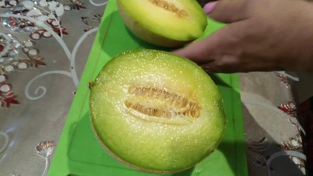 дыня "Галия", выращивание на Урале. смотреть онлайн