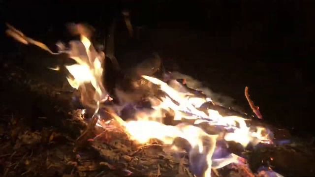 С женой на рыбалке. Налима не поймали. Наелись и поехали домой. смотреть онлайн