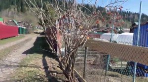 Делаем забор на даче