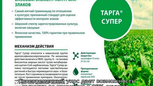 Трава повилика: описание сорняка, свойства, как бороться смотреть онлайн