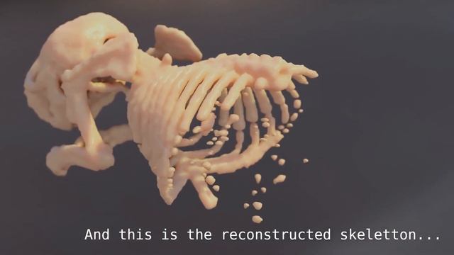 A New Geometry Node Method For 3D Reconstruction of CT Scan images. смотреть онлайн